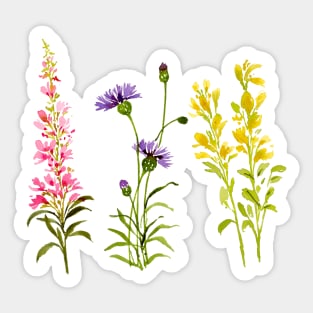 Wildflowers Sticker